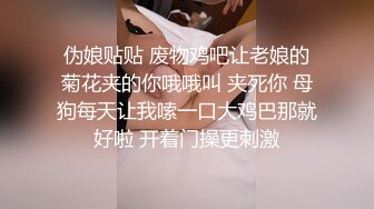 给骚老婆上乳夹和口球