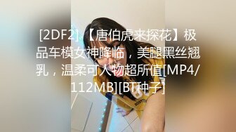 [2DF2] 【唐伯虎来探花】极品车模女神降临，美腿黑丝翘乳，温柔可人物超所值[MP4/112MB][BT种子]