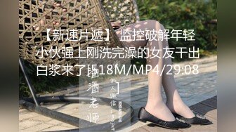 91Sison素人約啪系列第6季：大蜜范女神约拍全记录