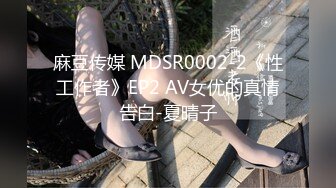 麻豆传媒 MDSR0002-2《性工作者》EP2 AV女优的真情告白-夏晴子