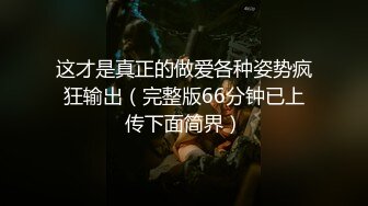 这才是真正的做爱各种姿势疯狂输出（完整版66分钟已上传下面简界）