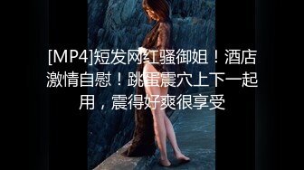 [MP4]国产迷你传媒-心机婊保洁阿姨一边干活一边勾引男主人做爱