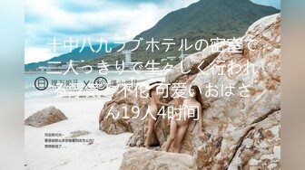 十中八九ラブホテルの密室で二人っきりで生々しく行われる浮気と不伦 可爱いおばさん19人4时间