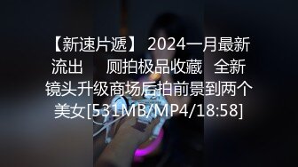 【新速片遞】 2024一月最新流出❤️厕拍极品收藏⭐全新镜头升级商场后拍前景到两个美女[531MB/MP4/18:58]