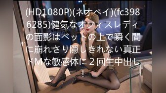 91CM-104宠物猫女友