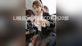 LJ极品地铁高清CD系列20部合集 (19)