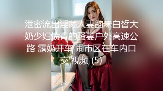 泄密流出淫荡人妻韵味白皙大奶少妇愤青的骚妻户外高速公路 露奶开车 闹市区在车内口交 视频 (5)